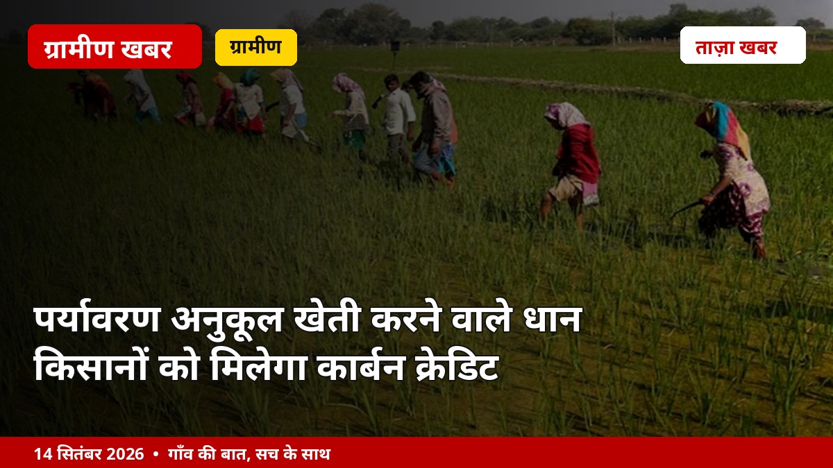 पर्यावरण अनुकूल खेती करने वाले धान किसानों को मिलेगा कार्बन क्रेडिट