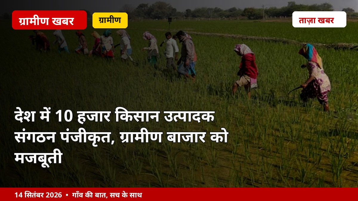 देश में 10 हजार किसान उत्पादक संगठन पंजीकृत, ग्रामीण बाजार को मजबूती